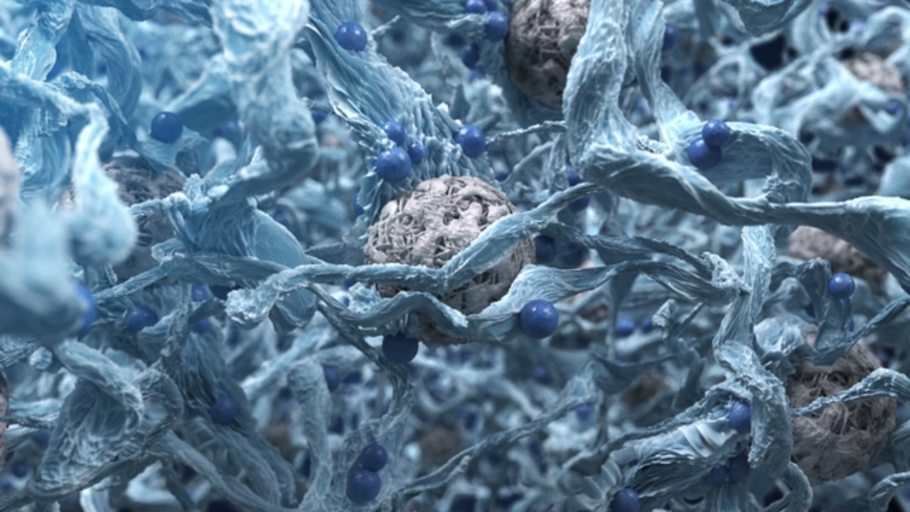 FIBERGRAFT™ AERIDYAN™ Matrix Scientific Animation