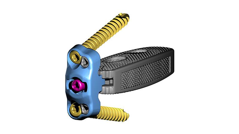 The CONDUIT Lateral Switch Plate 2-Hole shown with two fixation screws on a white background