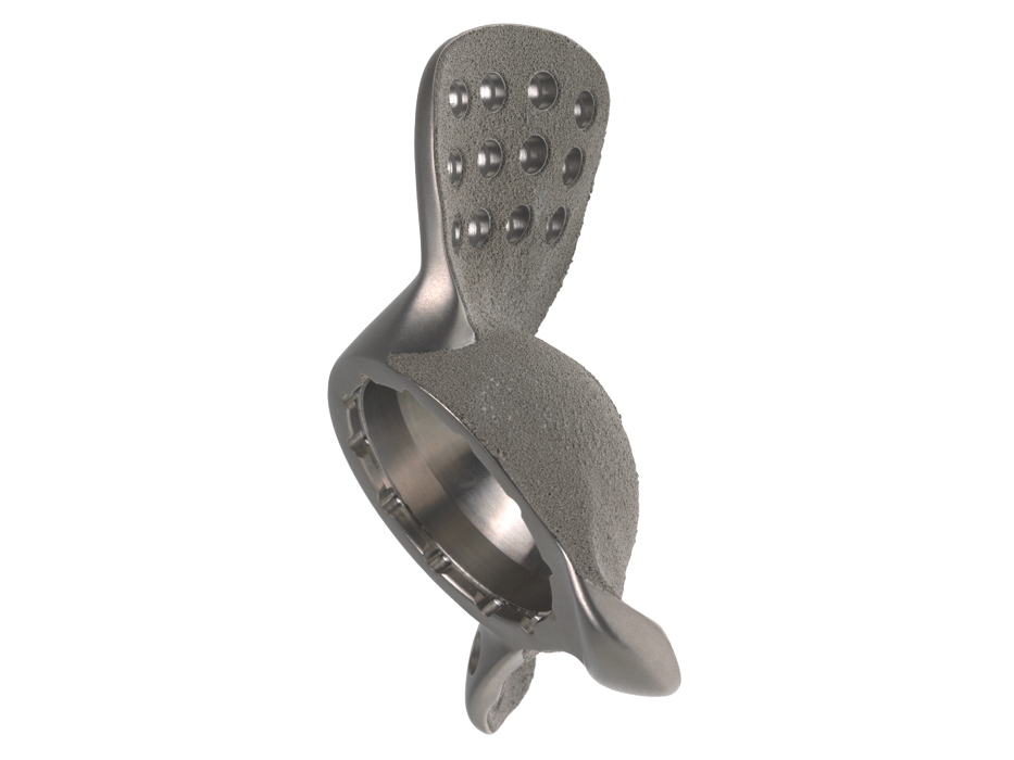 Screen showing PINNACLE™ TriFlange Acetabular Cup and product description